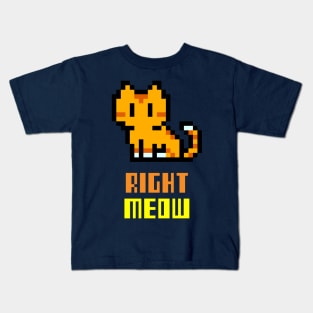 Right Meow Kids T-Shirt